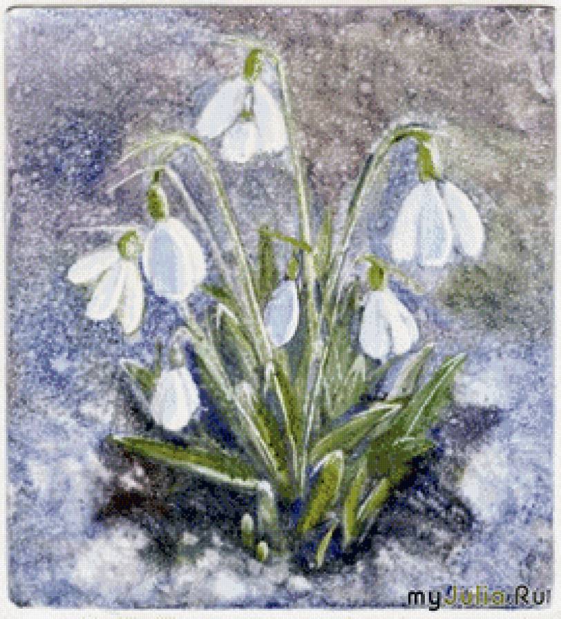 подснежники - цветы, подснежники, снег, весна - предпросмотр