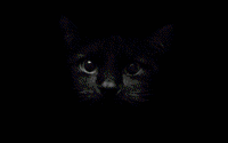 Кот - кот, черный фон - предпросмотр