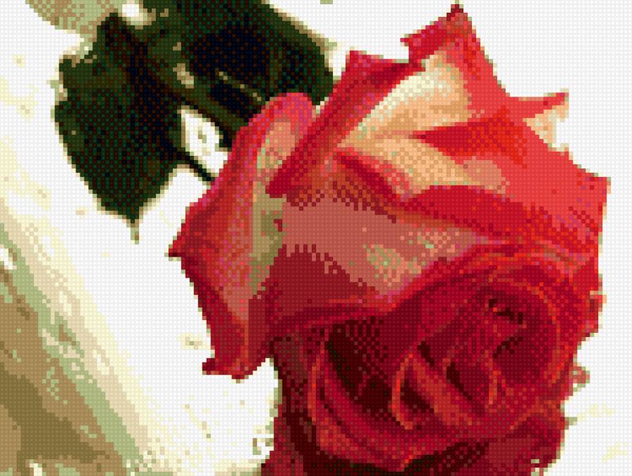 №625030 - предпросмотр