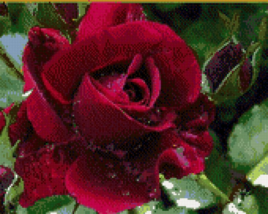 №625039 - предпросмотр