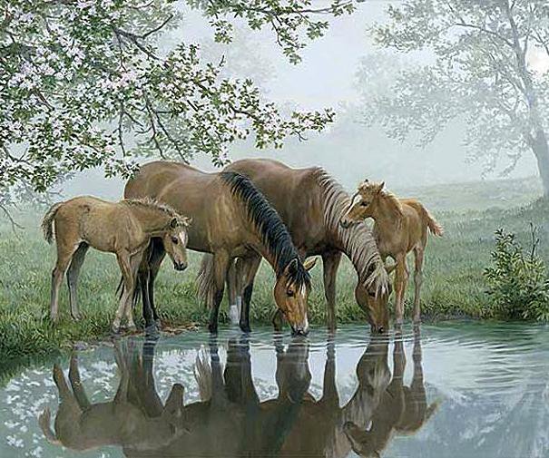Туманным утром - кони, туман, водопой, животные, пейзаж - оригинал