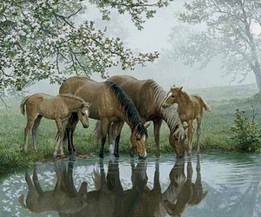 Туманным утром - кони, туман, водопой, пейзаж, животные - предпросмотр
