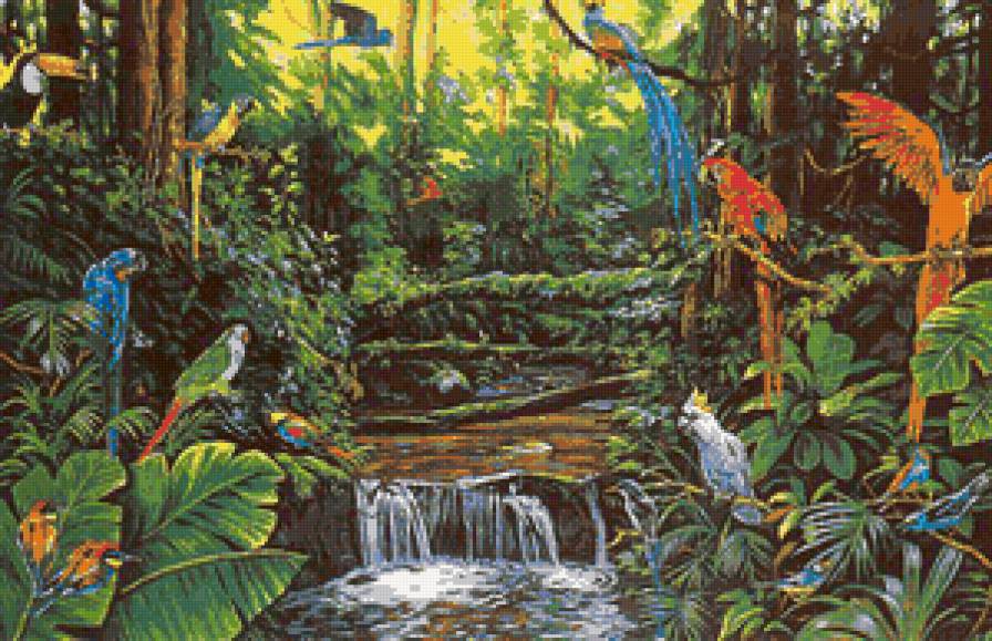 рай для попугаев - попугаи, природа, водопад - предпросмотр