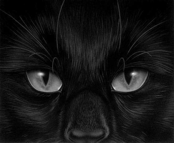 котик - оригинал