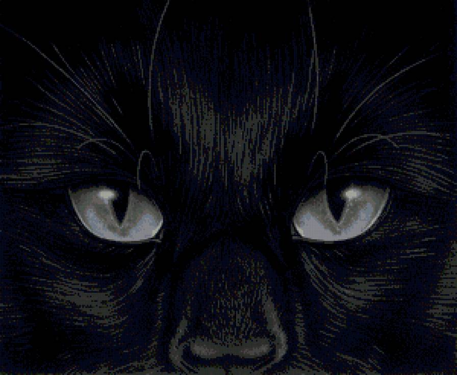 котик - предпросмотр