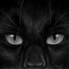 Схема вышивки «котик»