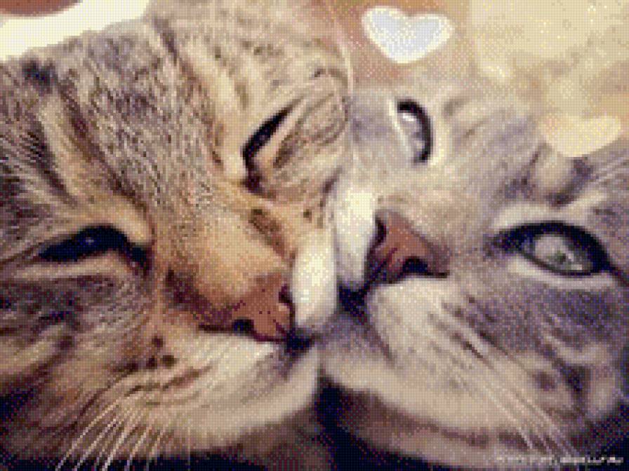 животные - предпросмотр