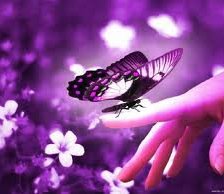 Схема вышивки «бабочка»