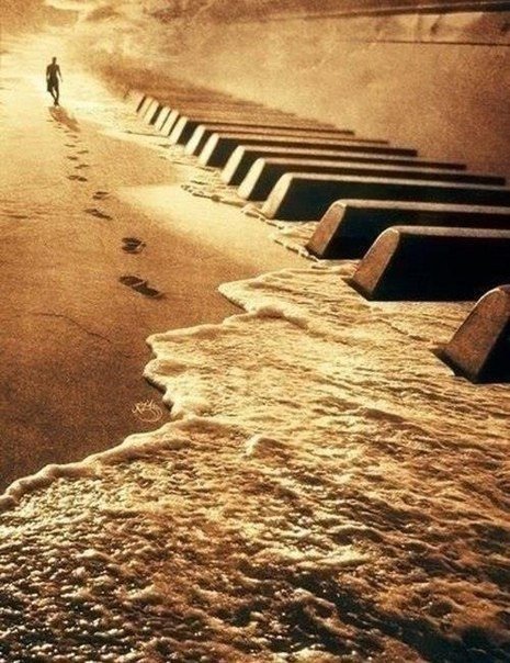 №625529 - море, музыка, клавиши - оригинал