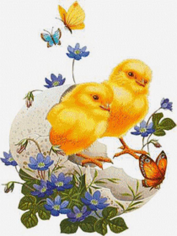 Цыплятки - предпросмотр