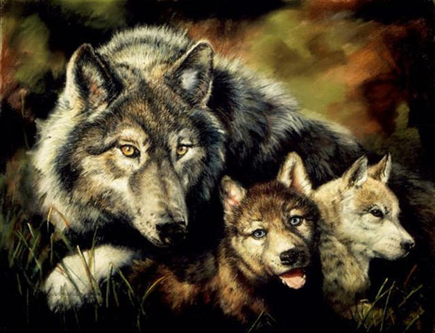 Волки - волк, животные - оригинал