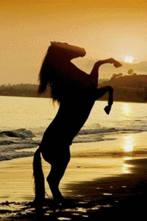 Конь на берегу моря при закате - силует, конь, море, закат - предпросмотр