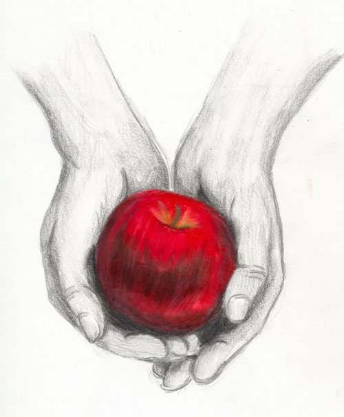 ладошки с яблоком - рисунок карандошом, сумерки - оригинал