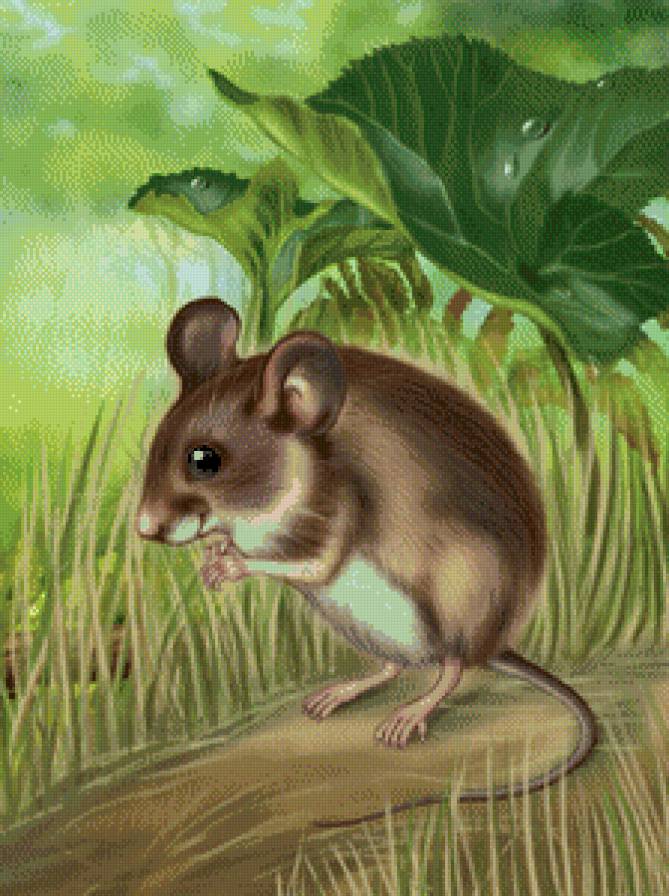 Мышонок - животные - предпросмотр