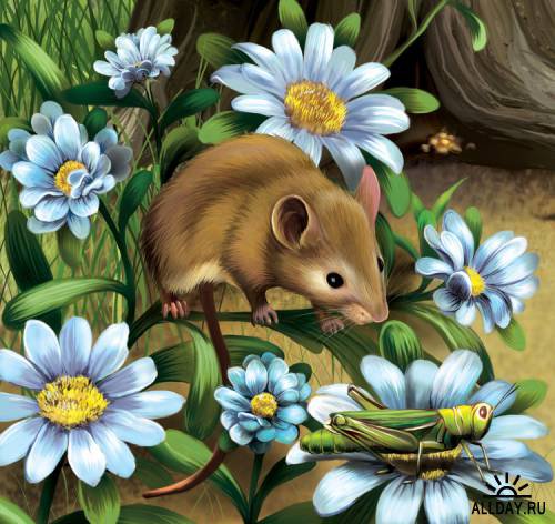 Мышонок в цветах - животные, цветы - оригинал