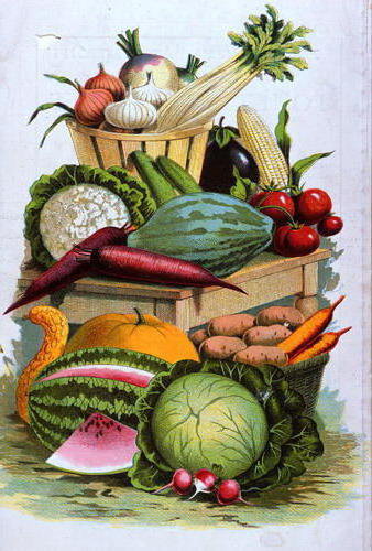 овощной натюрморт - натюрморт, овощи - оригинал