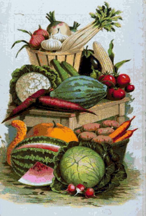 овощной натюрморт - овощи, натюрморт - предпросмотр