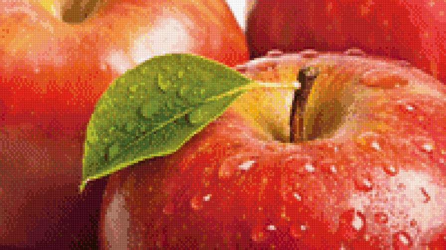 яблоки - предпросмотр