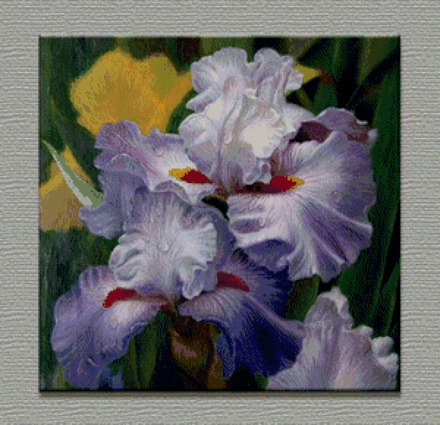ирисы - предпросмотр
