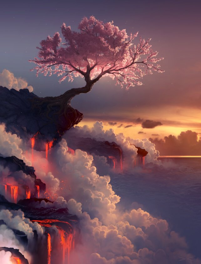 сакура на обрыве - сакура - оригинал