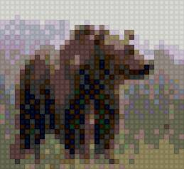 медведь - предпросмотр