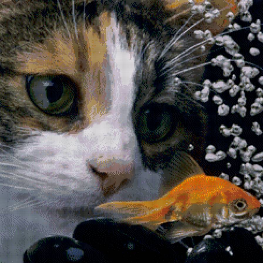 Котейкины мечты - кошка, желания, рыбка - предпросмотр