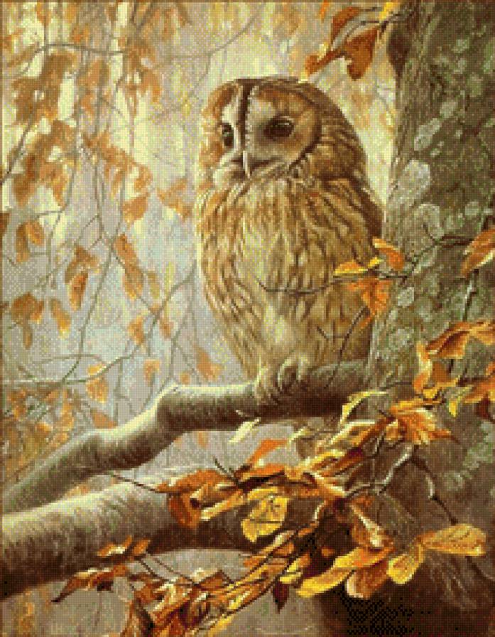 №626172 - предпросмотр