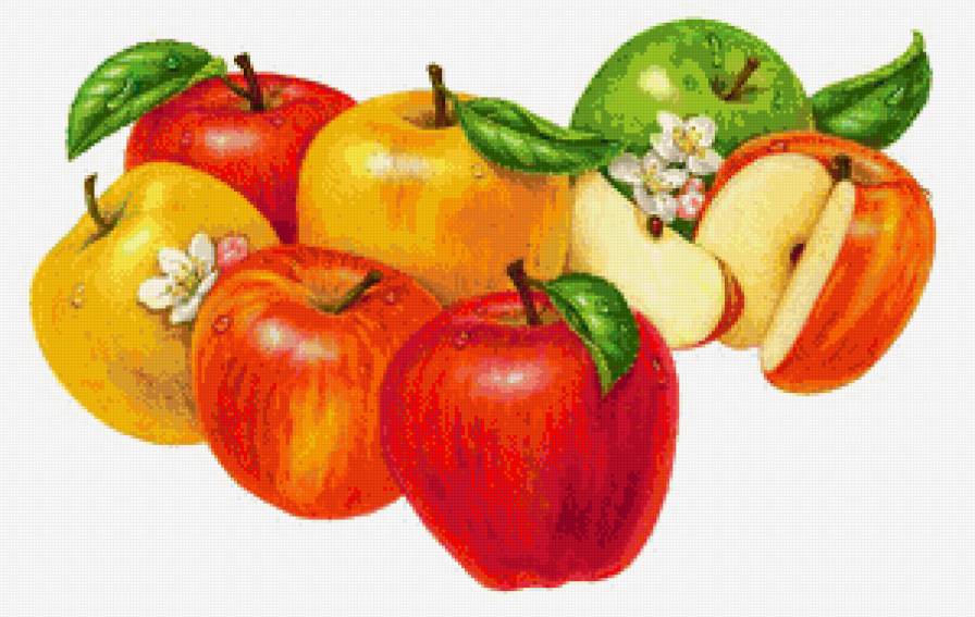 яблоки - для кухни - предпросмотр