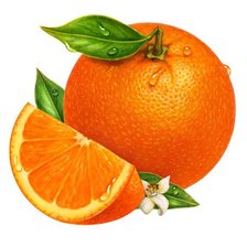 Оригинал схемы вышивки «апелсин» (№626202)