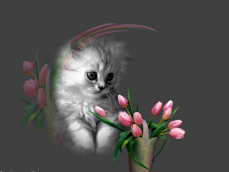 котенок с тюльпаном - удовольствие, малыши, радость, милашка, коты, цветы - оригинал