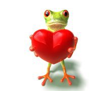лягушка с сердцем - лягушка. животные, любовь - оригинал