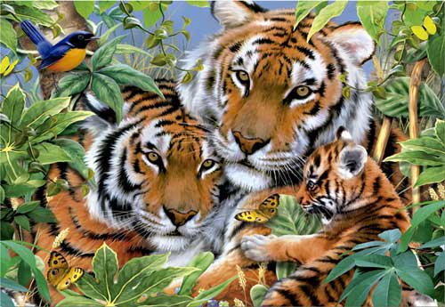 семья тигров - оригинал