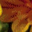 Предпросмотр схемы вышивки «хризантемы» (№626418)