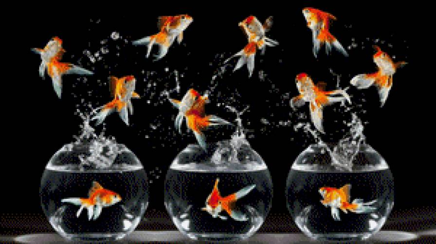 №626444 - предпросмотр