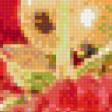 Предпросмотр схемы вышивки «ягодки» (№626493)
