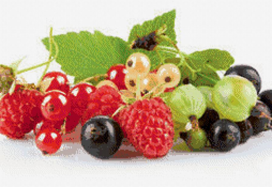ягодки - предпросмотр