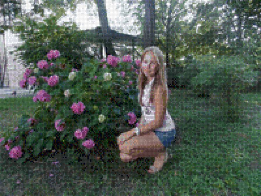 настя куст - предпросмотр