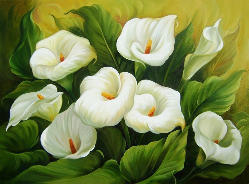 калы - цветы.калы - оригинал