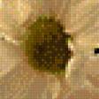 Предпросмотр схемы вышивки «ромашки» (№626706)
