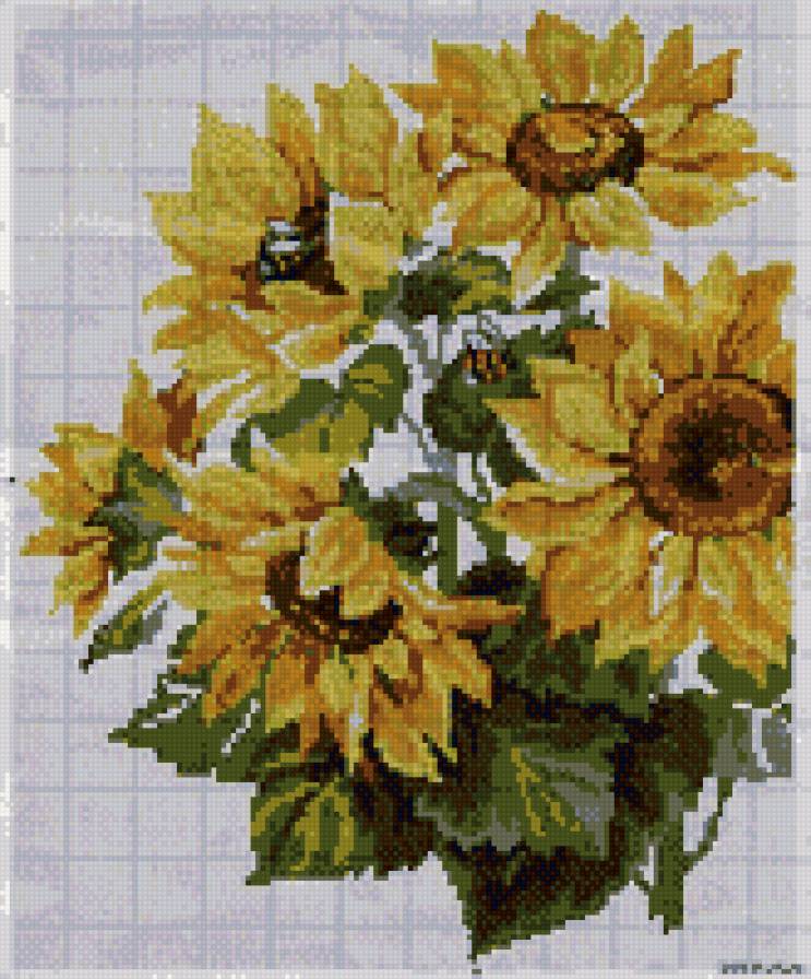 подсолнухи - подсолнухи, цветы - предпросмотр