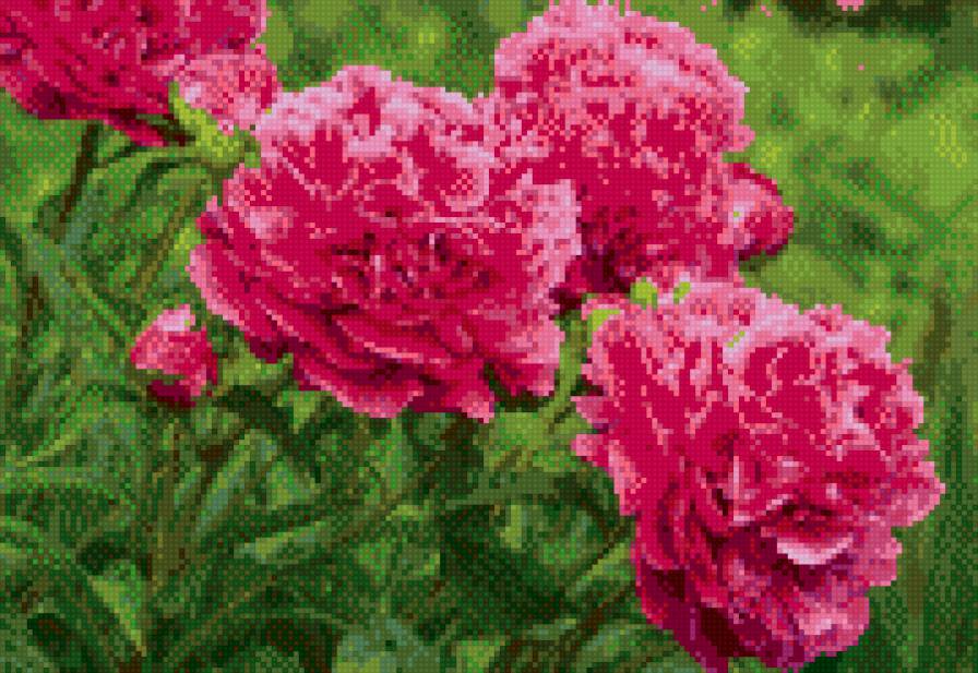 №626798 - предпросмотр