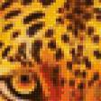 Предпросмотр схемы вышивки «леопард» (№626828)