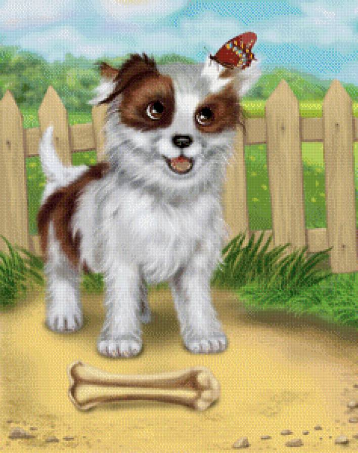 Дружок - животные, собаки - предпросмотр