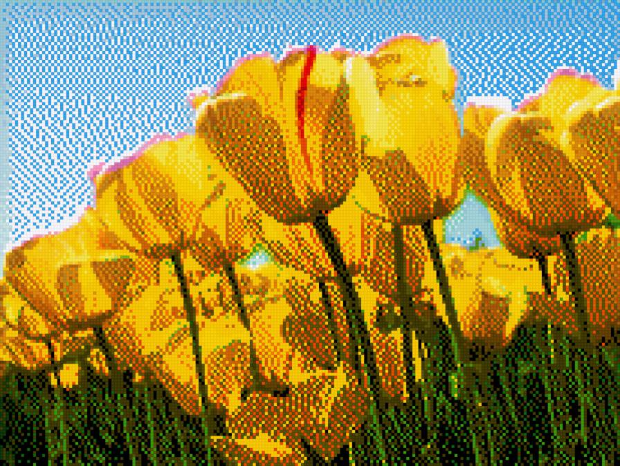 Тюльпаны1 - предпросмотр