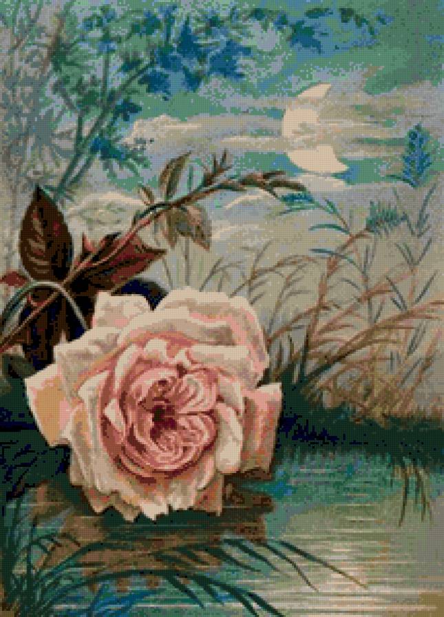 лунная роза - цветок, луна, роза - предпросмотр