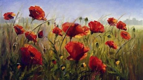 поле маков - маки - оригинал