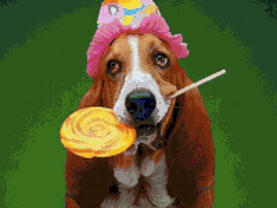 басетик - басет - предпросмотр