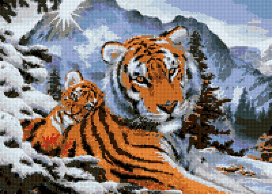 тигр - тигр - предпросмотр