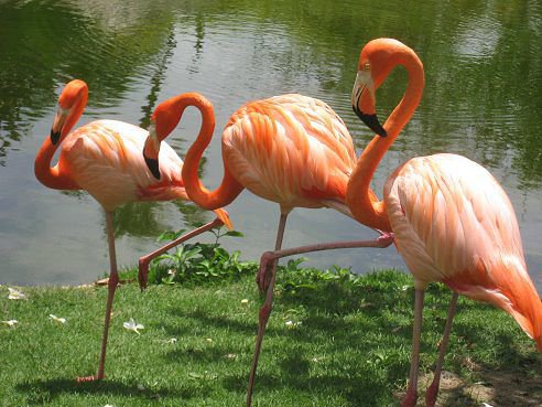 №627302 - оригинал