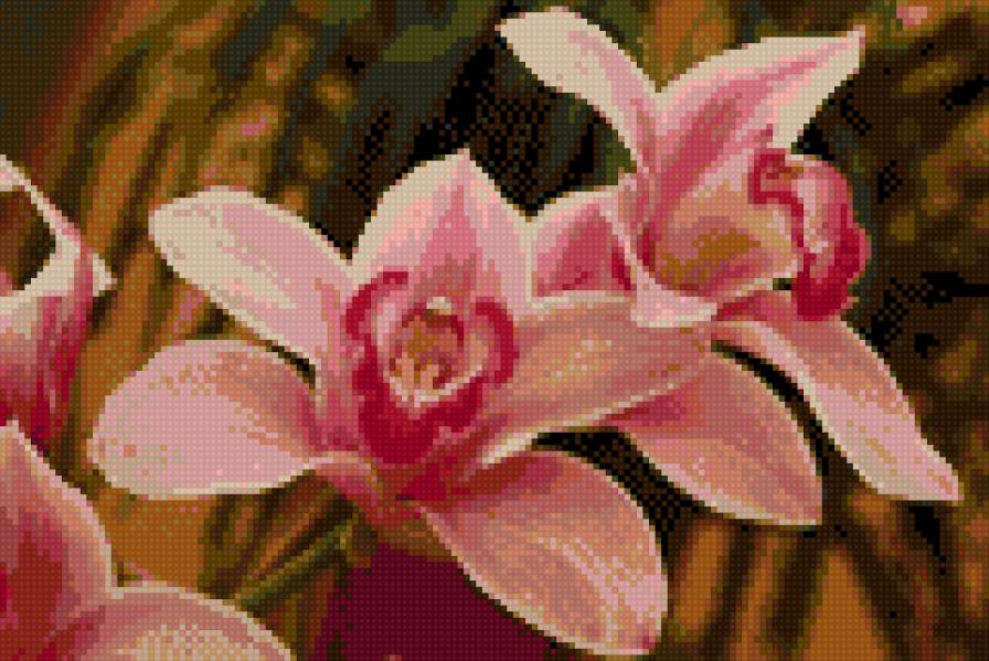 №627323 - предпросмотр